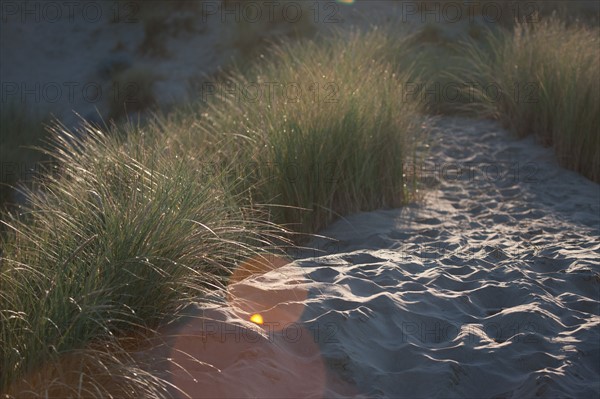 Fort-Mahon-Plage, Baie de Somme