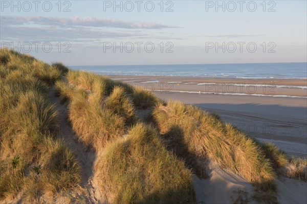 Fort-Mahon-Plage, Baie de Somme