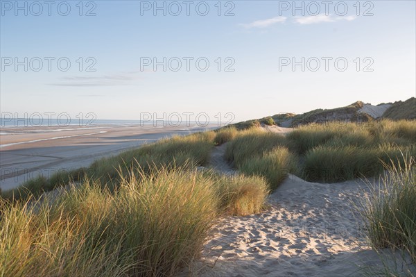 Fort-Mahon-Plage, Baie de Somme