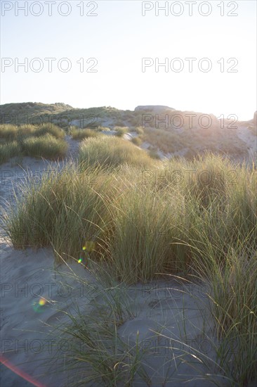 Fort-Mahon-Plage, Baie de Somme