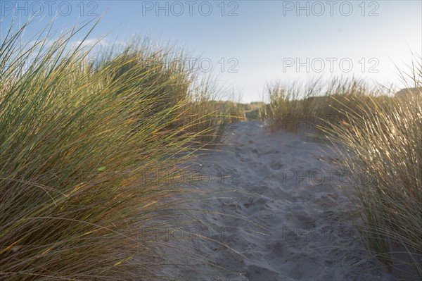 Fort-Mahon-Plage, Baie de Somme