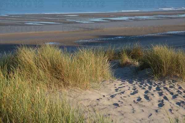 Fort-Mahon-Plage, Baie de Somme