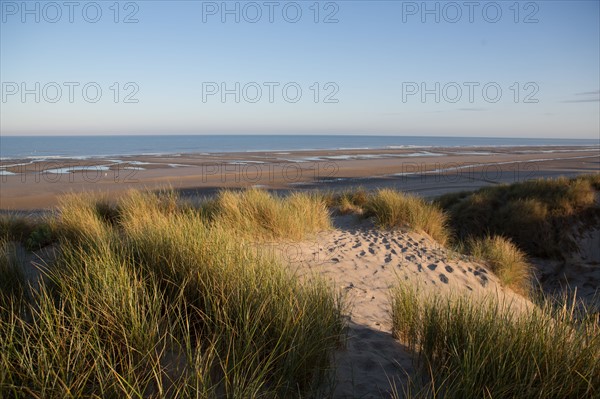 Fort-Mahon-Plage, Baie de Somme