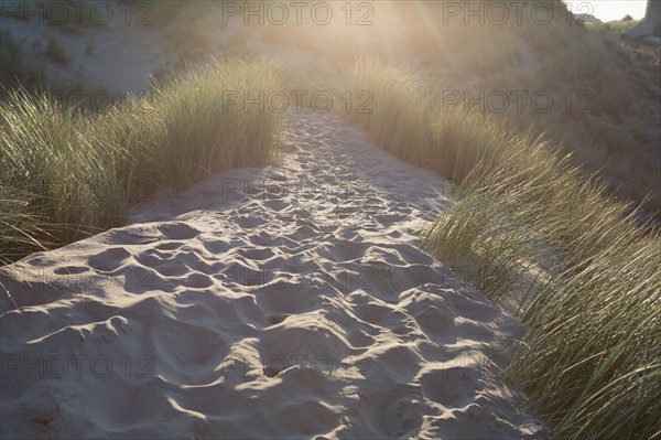 Fort-Mahon-Plage, Baie de Somme