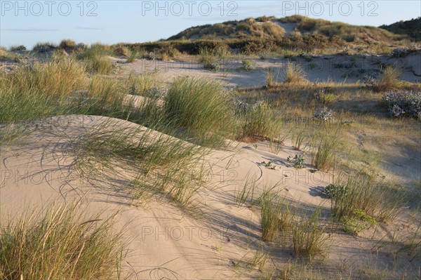 Fort-Mahon-Plage, Baie de Somme