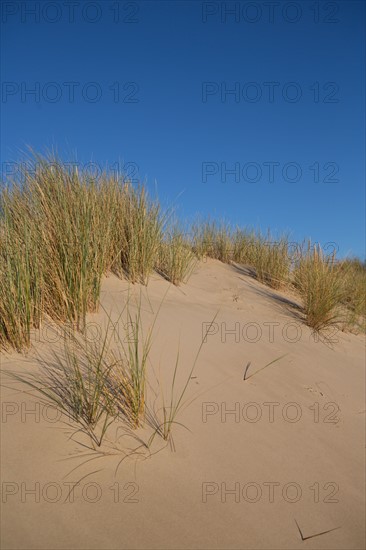 Fort-Mahon-Plage, Baie de Somme