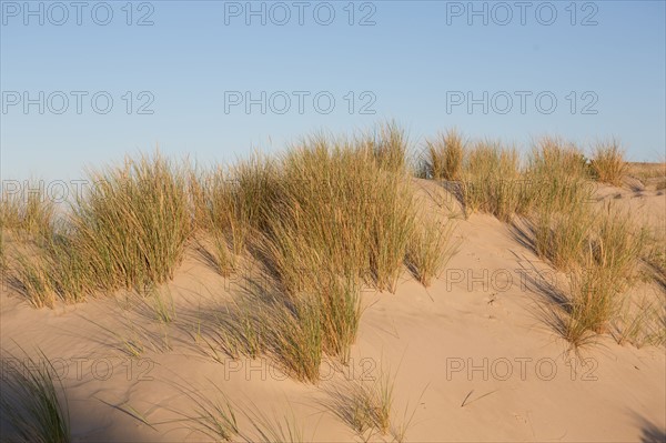 Fort-Mahon-Plage, Baie de Somme