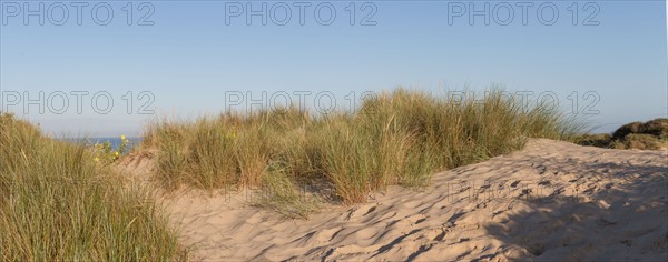 Fort-Mahon-Plage, Baie de Somme