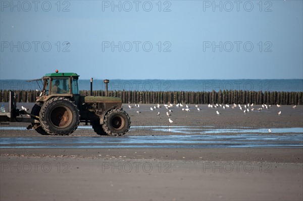 Quend, Somme