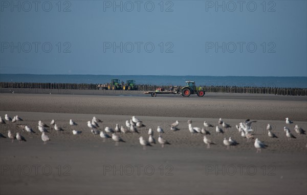 Quend, Somme