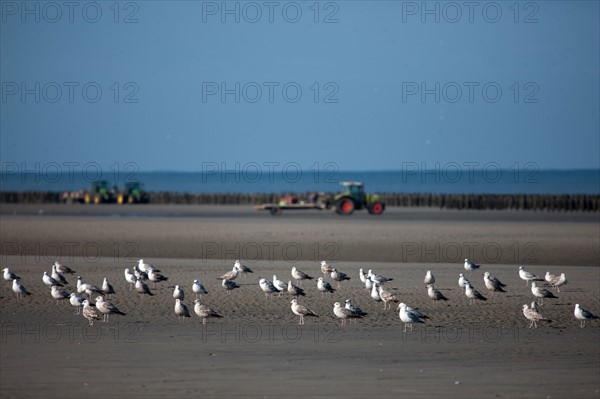 Quend, Somme