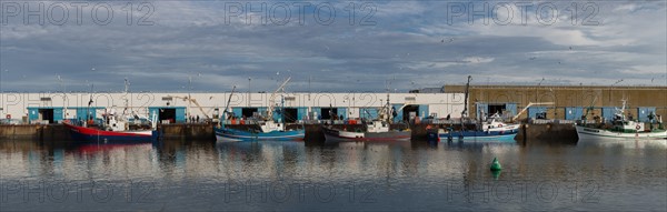 Port de Saint-Guénolé, Finistère Sud