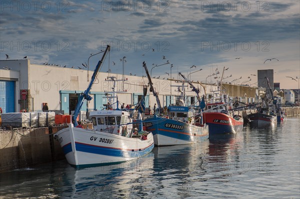 Port de Saint-Guénolé, Finistère Sud