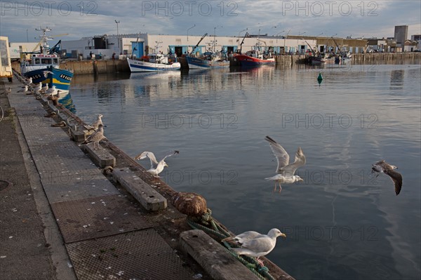 Port de Saint-Guénolé, Finistère Sud