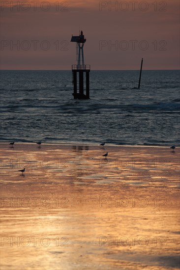 Trouville sur Mer, plage au soleil couchant