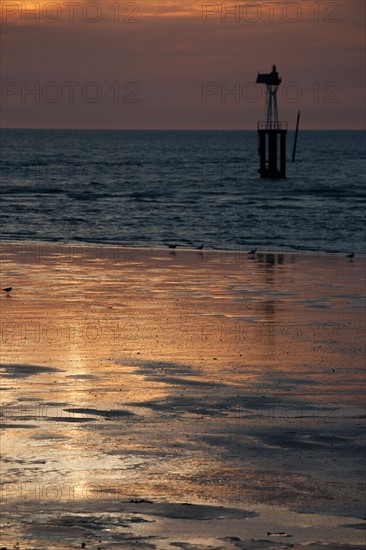 Trouville sur Mer, plage au soleil couchant