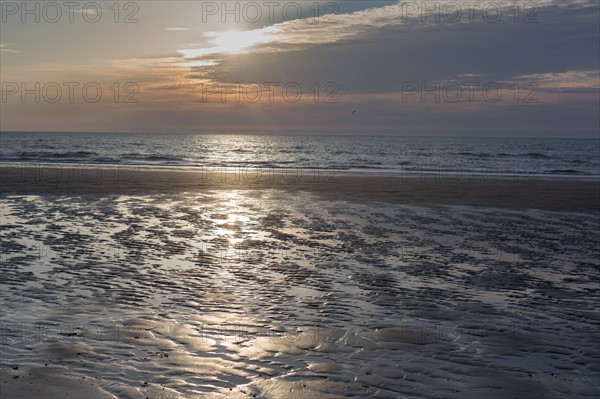 Trouville sur Mer, Kite surf au soleil couchant