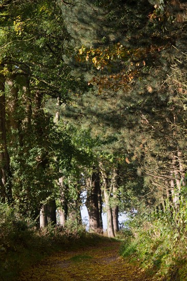 Terroir de caux