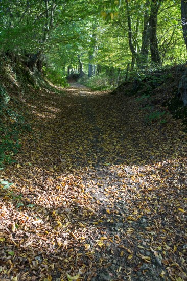 Terroir de caux