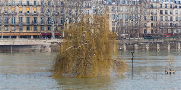 Paris sous la neige, février 2018