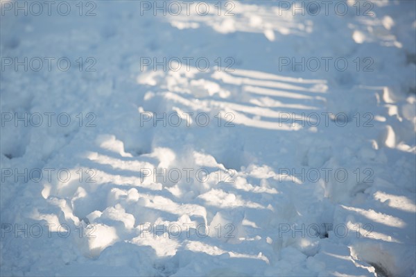 Paris sous la neige, février 2018