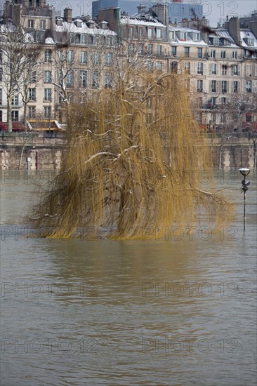 Paris sous la neige, février 2018