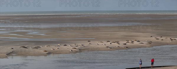 Baie d'Authie (Pas-de-Calais, France)