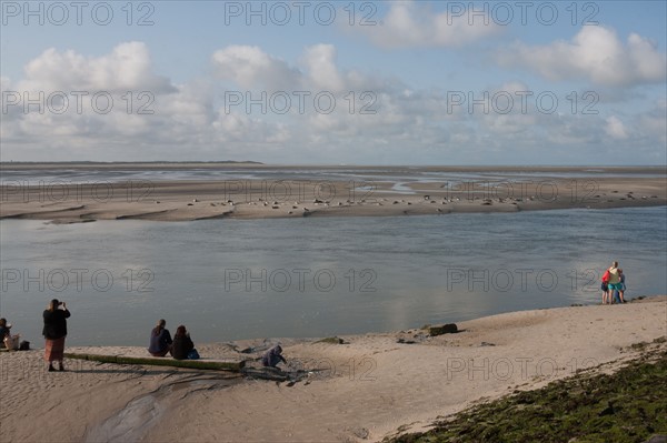 Baie d'Authie (Pas-de-Calais, France)