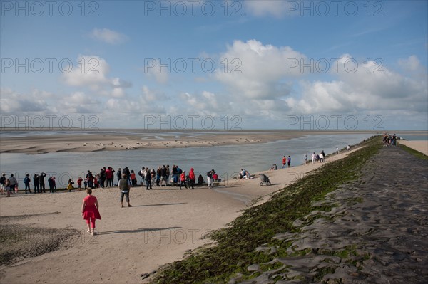 Baie d'Authie (Pas-de-Calais, France)