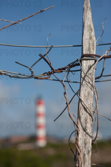 Phare de Berck (Pas-de-Calais, France)