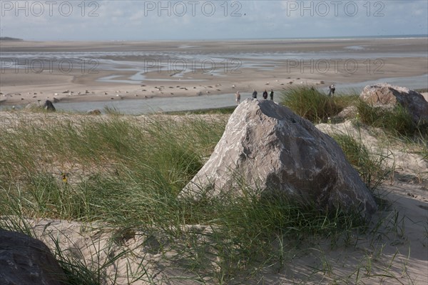 Baie d'Authie (Pas-de-Calais, France)