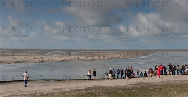 Baie d'Authie (Pas-de-Calais, France)