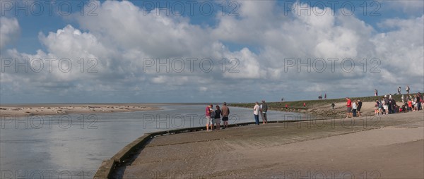 Baie d'Authie (Pas-de-Calais, France)