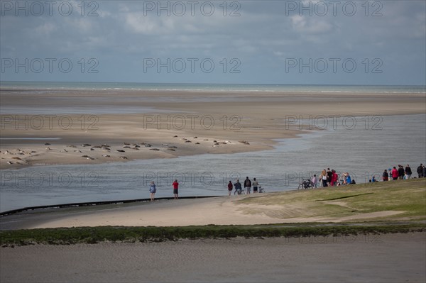 Baie d'Authie (Pas-de-Calais, France)