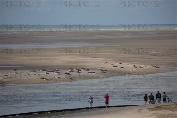 Baie d'Authie (Pas-de-Calais, France)