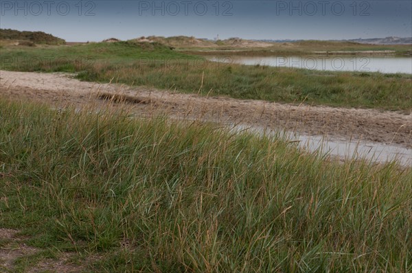 Baie d'Authie (Pas-de-Calais, France)