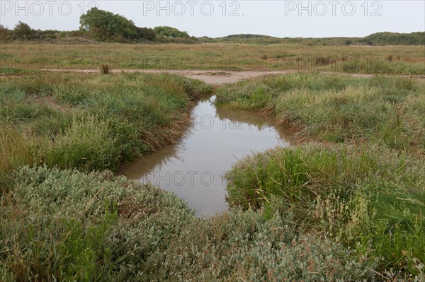 Baie d'Authie (Pas-de-Calais, France)