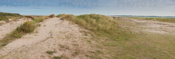 Baie d'Authie (Pas-de-Calais, France)