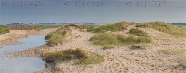 Baie d'Authie (Pas-de-Calais, France)