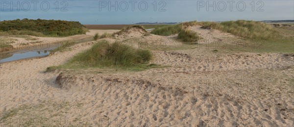 Baie d'Authie (Pas-de-Calais, France)