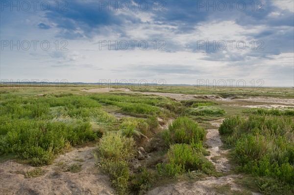 Baie d'Authie (Pas-de-Calais, France)