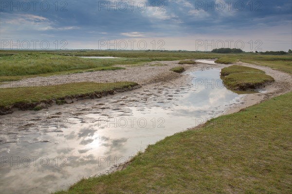 Baie d'Authie (Pas-de-Calais, France)