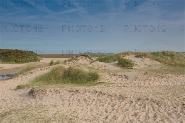 Baie d'Authie (Pas-de-Calais, France)