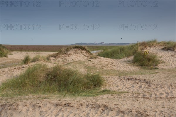 Baie d'Authie (Pas-de-Calais, France)