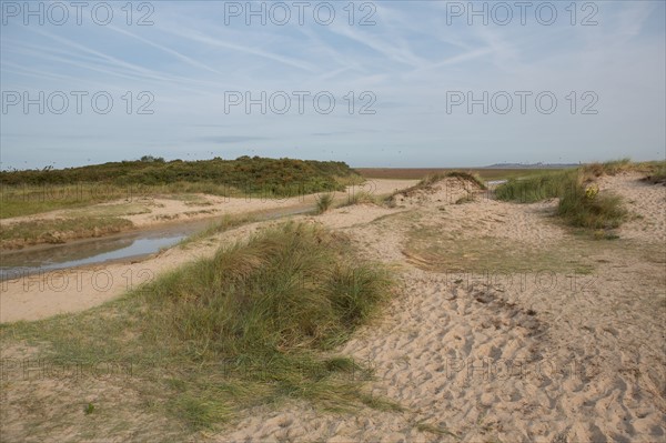 Baie d'Authie (Pas-de-Calais, France)