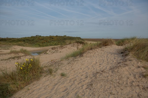 Baie d'Authie (Pas-de-Calais, France)