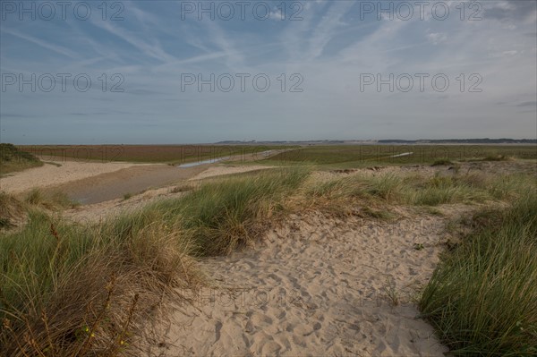 Baie d'Authie (Pas-de-Calais, France)