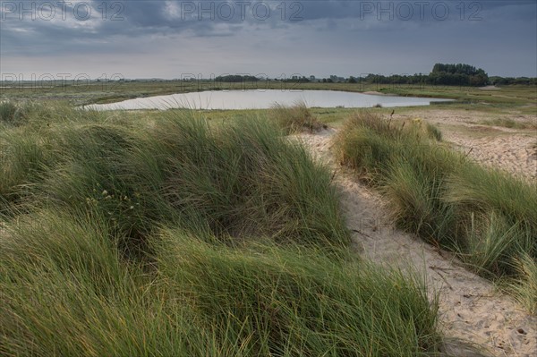 Baie d'Authie (Pas-de-Calais, France)