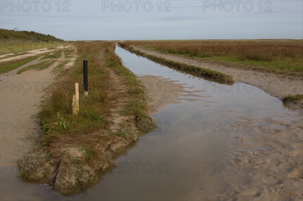 Baie d'Authie (Pas-de-Calais, France)