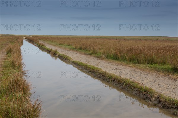 Baie d'Authie (Pas-de-Calais, France)